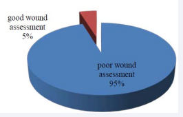 The mean wound assessment practice score was 21.1±14.2  (range 0 – 75). Only 5% of the respondents had a good wound  assessment practice